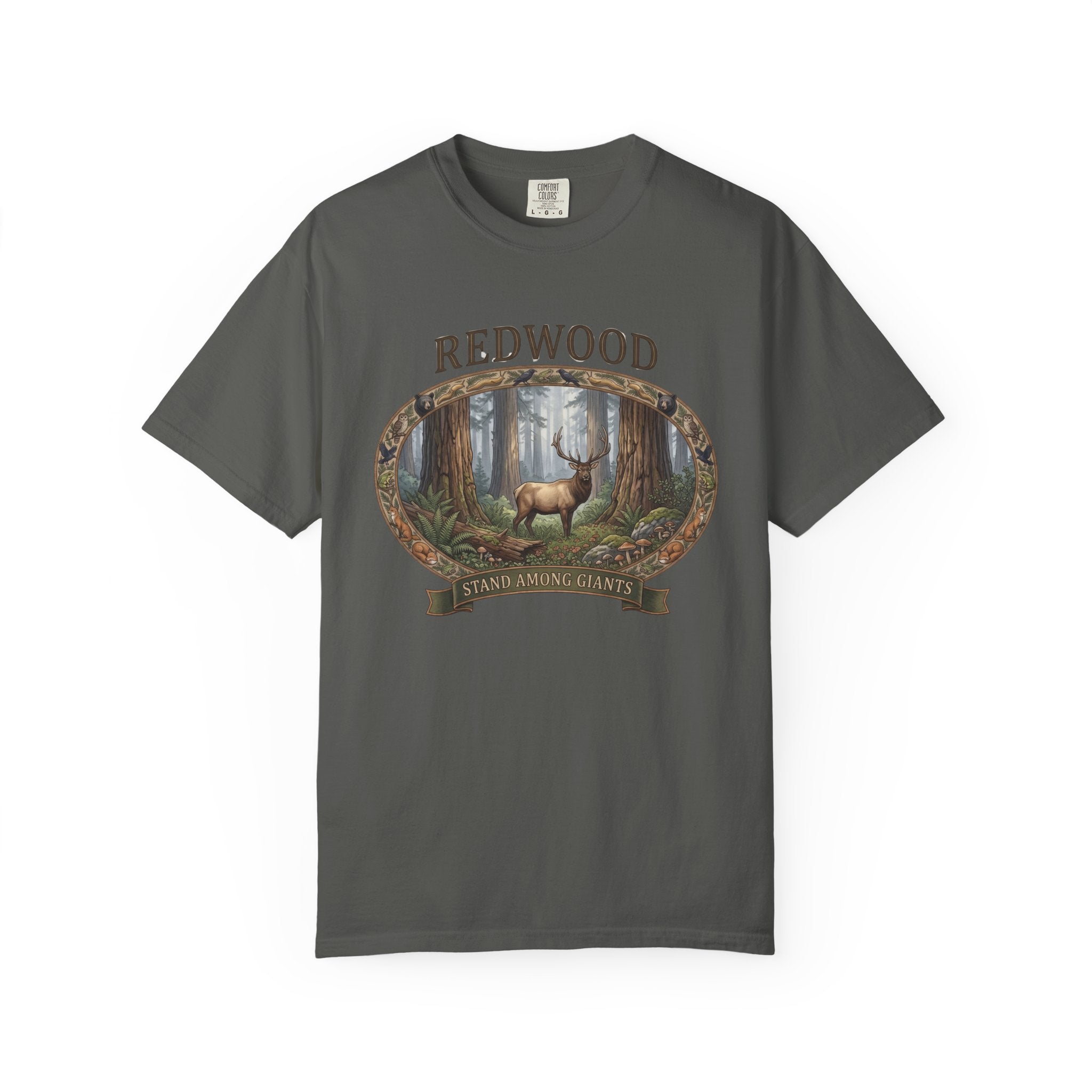 Redwood Forest Graphic T-Shirt
