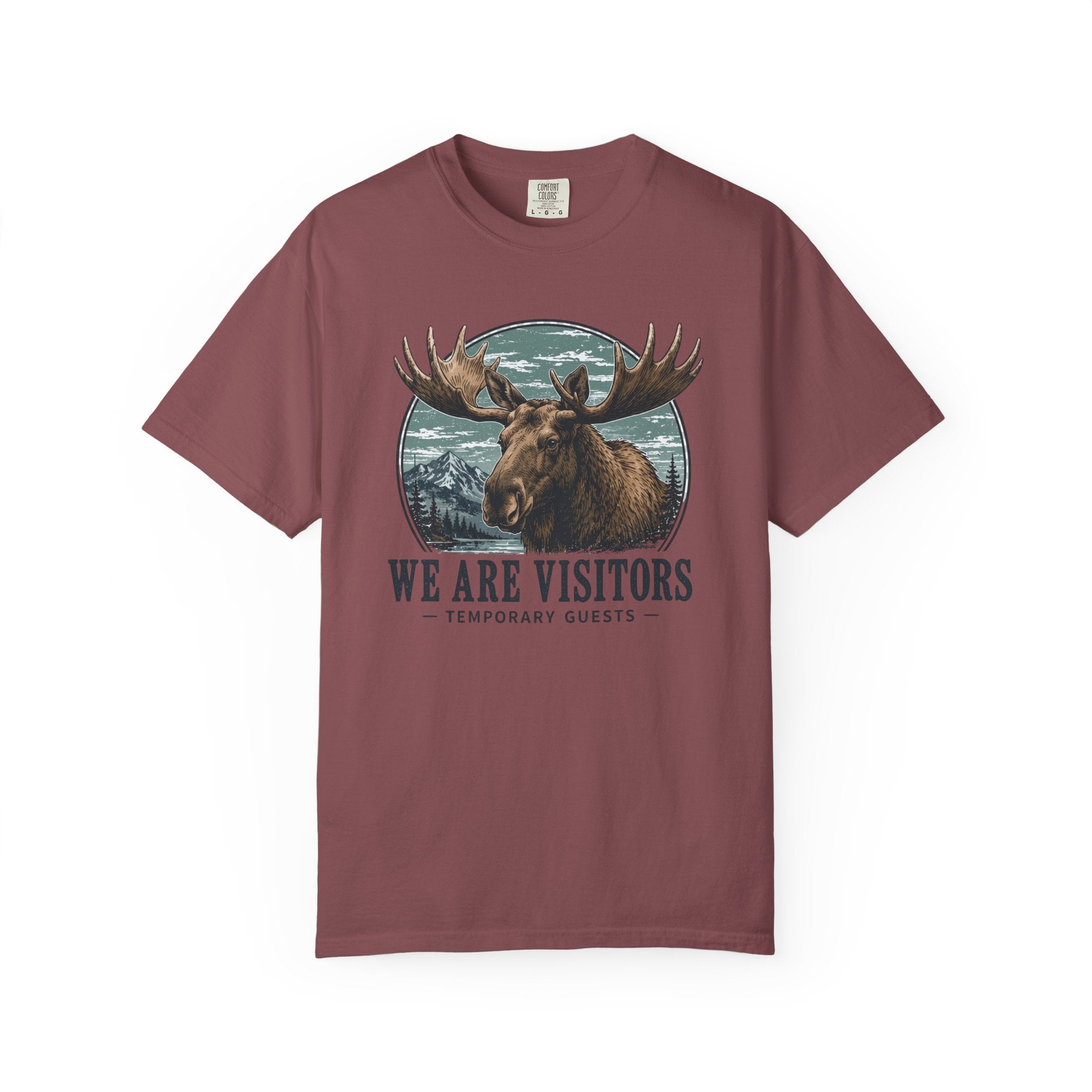 We Are Visitors T-Shirt