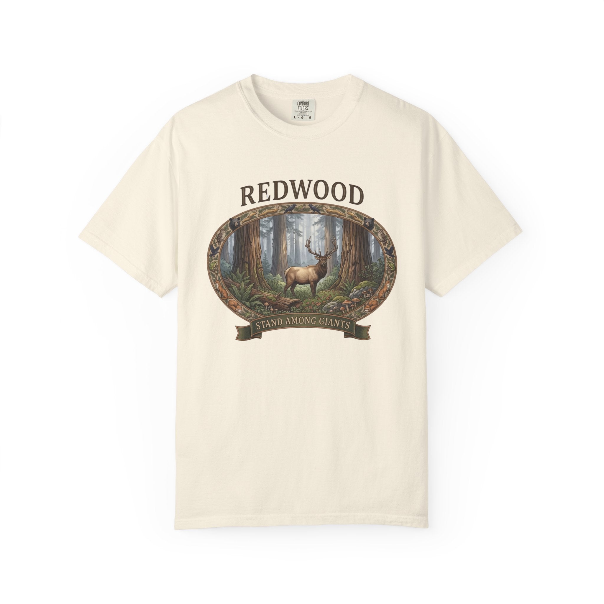 Redwood Forest Graphic T-Shirt